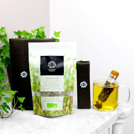 l'infuseur en verre et l'infusion silhouette
