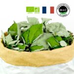 Feuille de ronce bio entière issues de nos champs dans leur sac herboriste