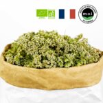 Achille millefeuille bio en sommité fleurie