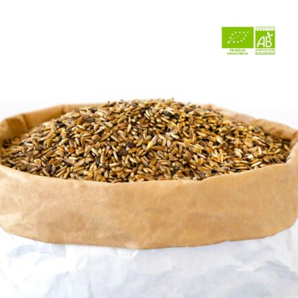 Photo de graines de Chardon Marie dans leur sac d'herboriste