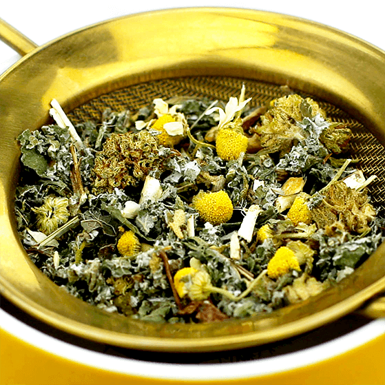 Zoom sur les plantes de l'infusion For Her