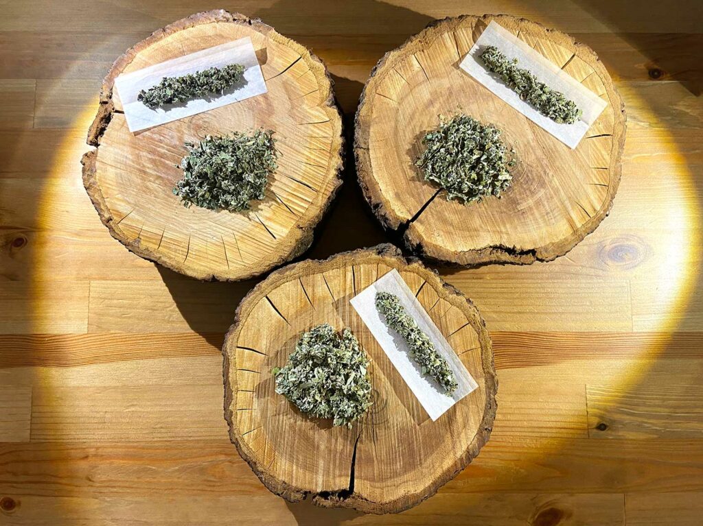 Photo de notre offre découverte 3 substituts de tabac naturels