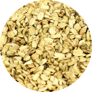 Zoom sur les semences d'angélique bio en graine