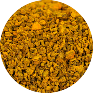 Zoom sur le curcuma bio, en racine coupée