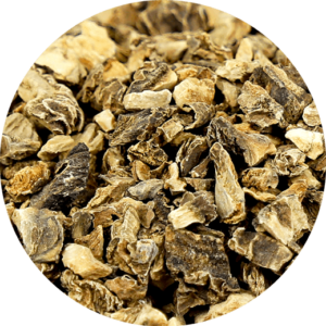 zoom sur les racines coupées d'harpagophytum bio